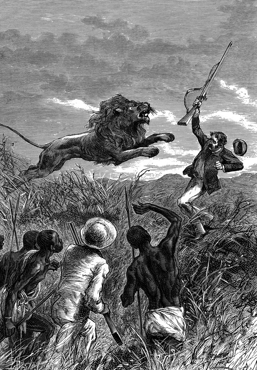 David Livingstone, missionário escocês e explorador africano, sendo carregado por um leão, c1860 de Unbekannt