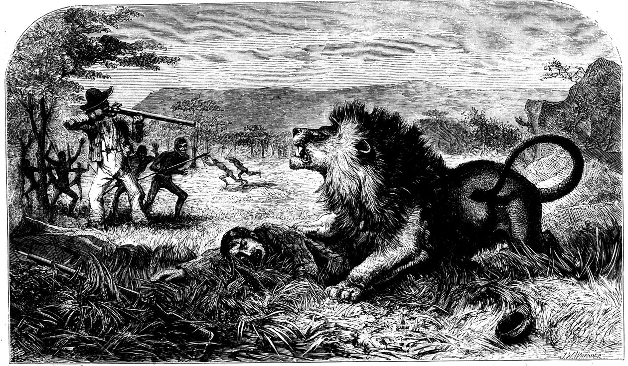 David Livingstone, salvo de um leão por Mebalwe, um professor nativo, 1857 de Unbekannt
