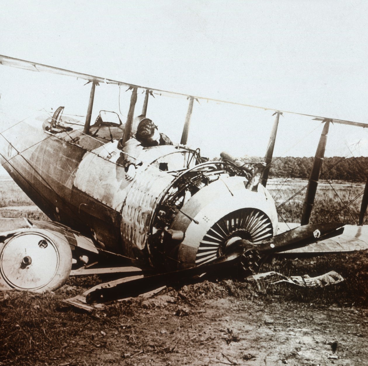 Piloto morto em avião caído de Salmson, c1914-c1918 de Unbekannt