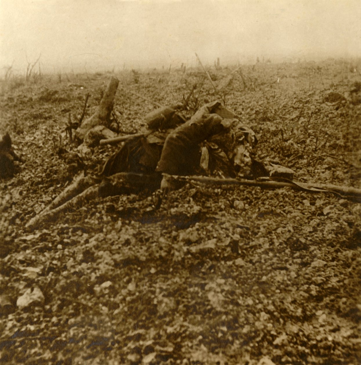 Soldado morto na colina 304, após a Batalha de Verdun, norte da França, 1916 de Unbekannt