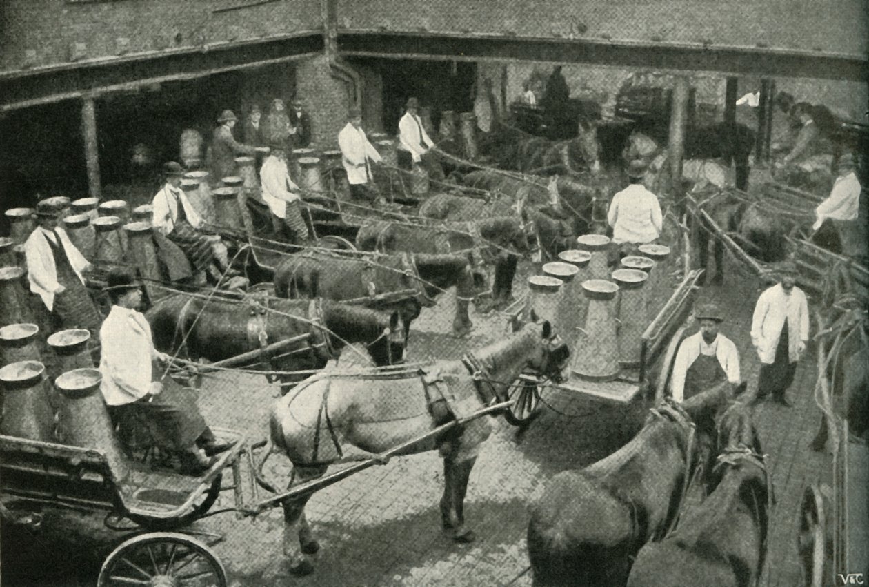Vans de entrega a partir do depósito central dos Srs. Freeth e Pococks em Vauxhall, 1902. de Unbekannt