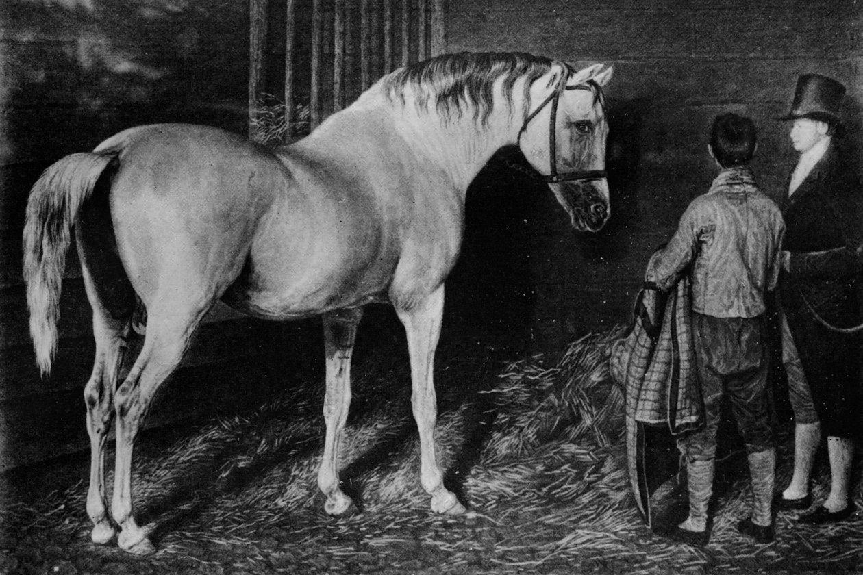 Delpini e Squire Wharton do castelo do esqueleto, século c18th, 1911 de Unbekannt