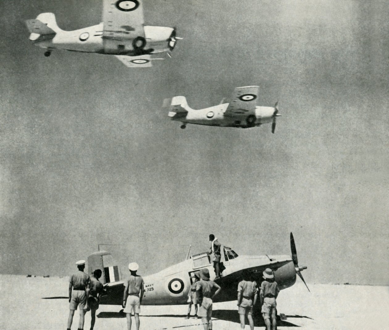 Esquadrão do Deserto - aviões do Fleet Air Arm durante a Segunda Guerra Mundial, c1943. de Unbekannt