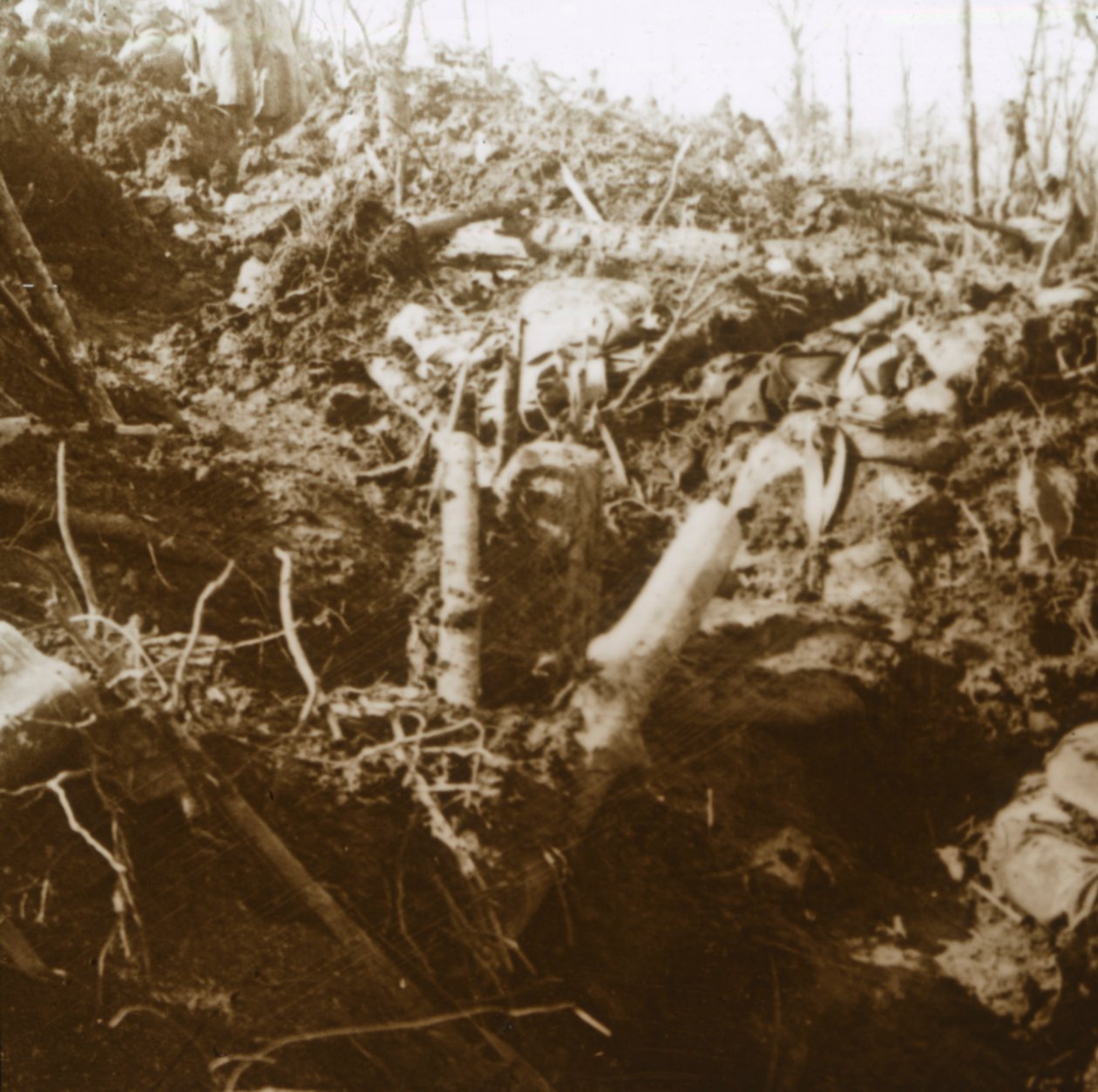 Abrigo destruído, Les Éparges, norte da França, 1915. de Unbekannt