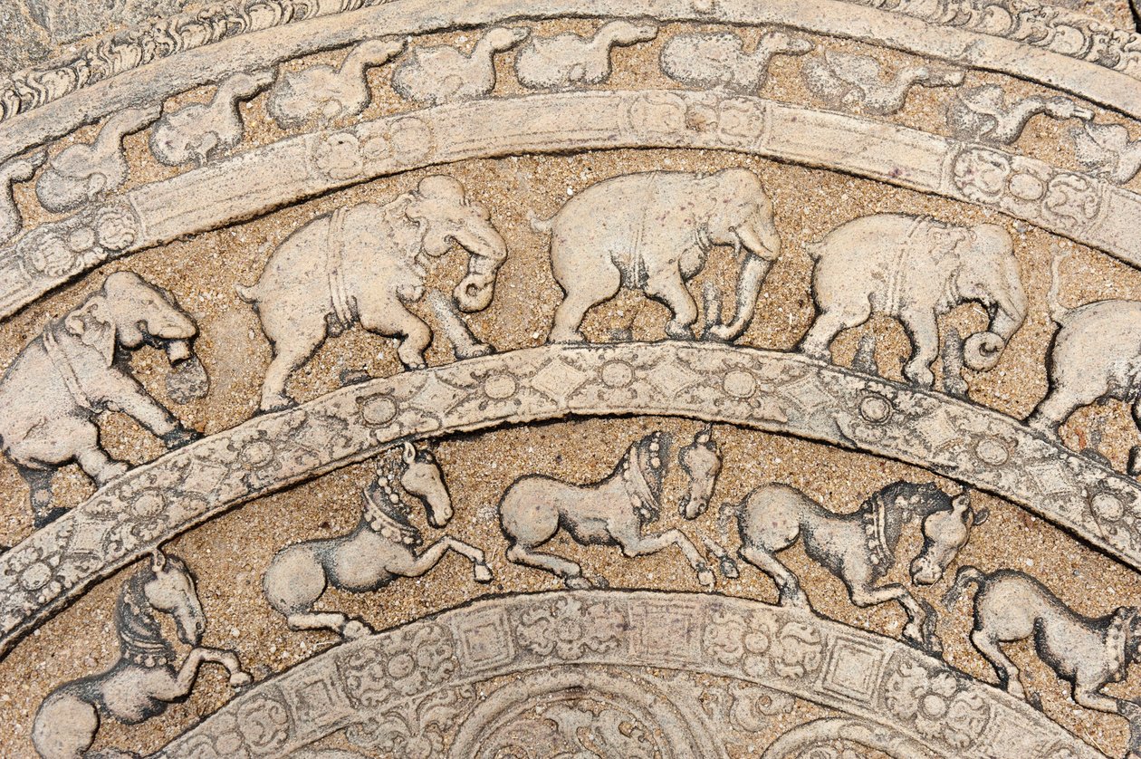 Detalhe; relevo histórico de pedra; pedra da lua com representações animais; elefantes; cavalos; pedra em um lance de escadas; Salão do Conselho do Rei Parakrama Bahu I; distrito interior da cidade; Polonnaruwa; Sri Lanka; Ásia de Unbekannt