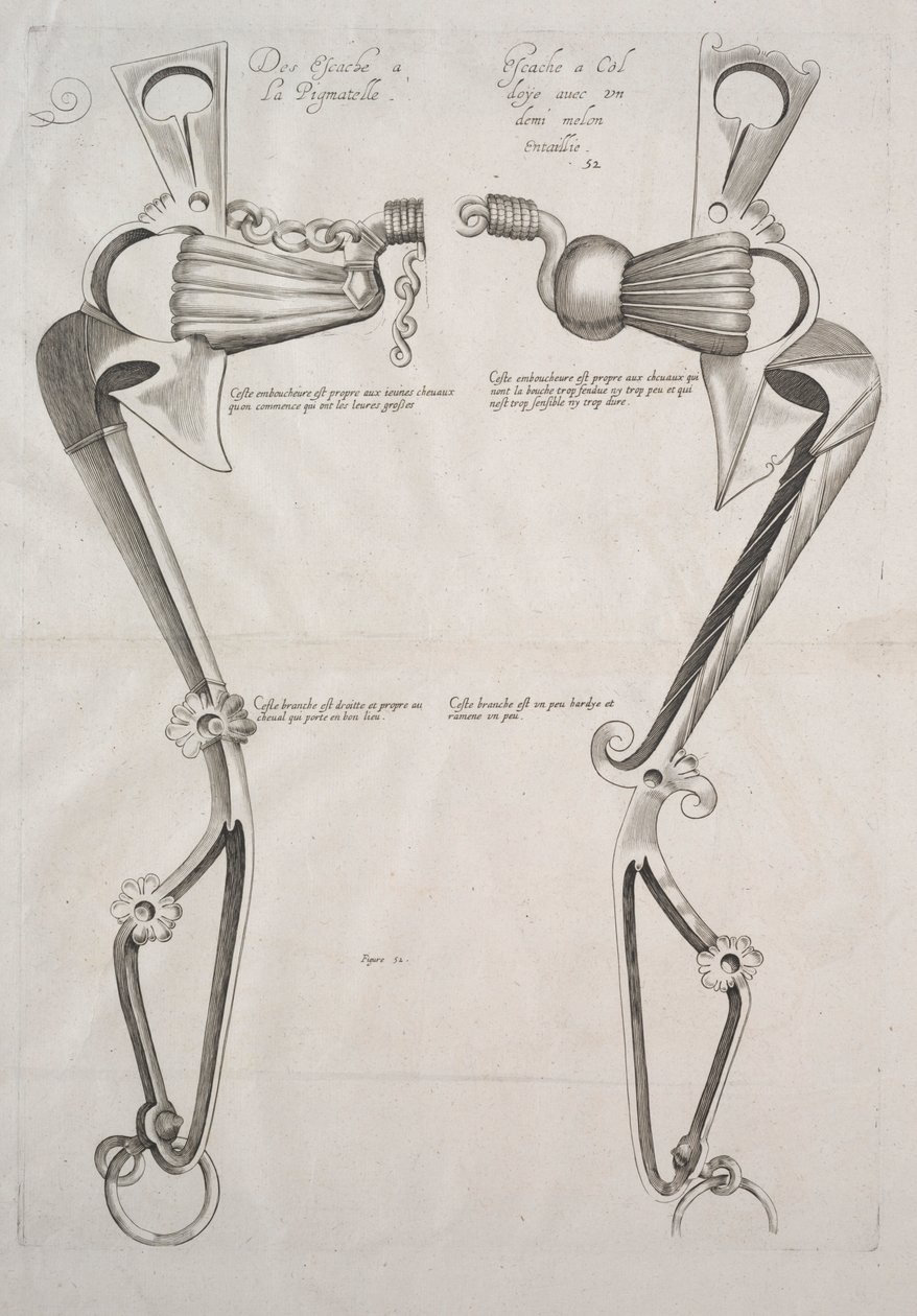 Diagrama para bit de cavalos, década de 1700. de Unbekannt
