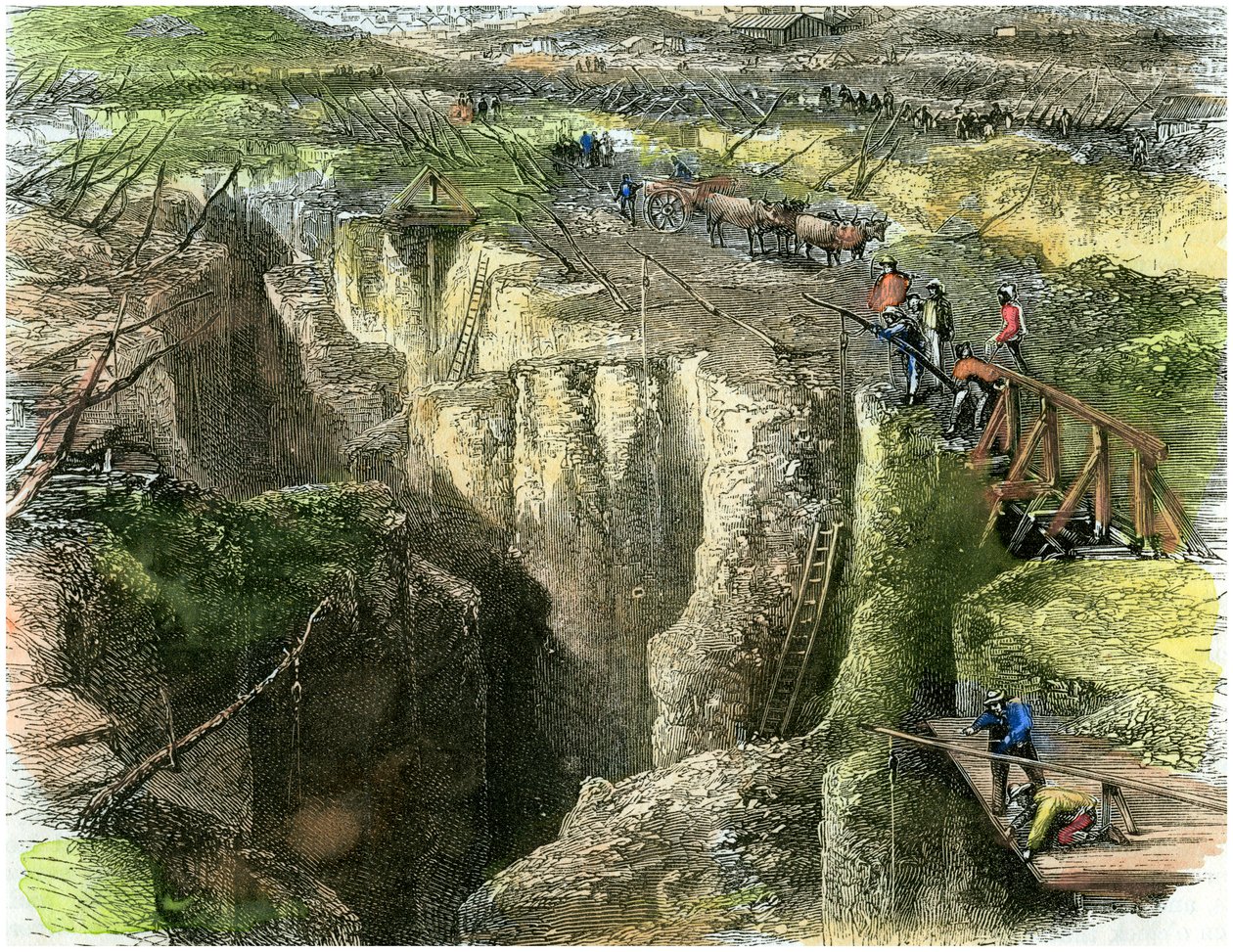 Campo de diamante, c1880 de Unbekannt
