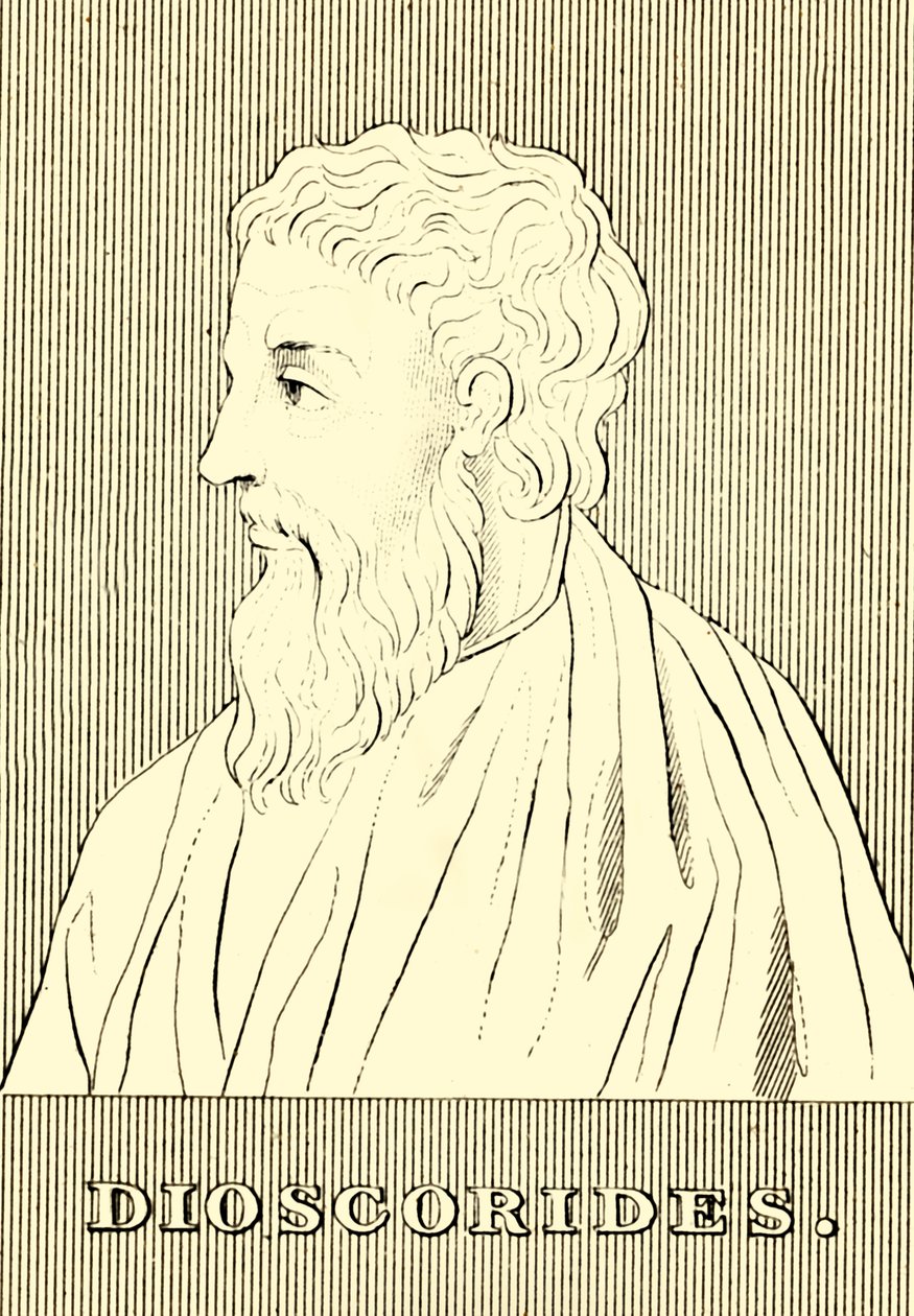 Dioscorides, AD c40-90 de 1830. de Unbekannt
