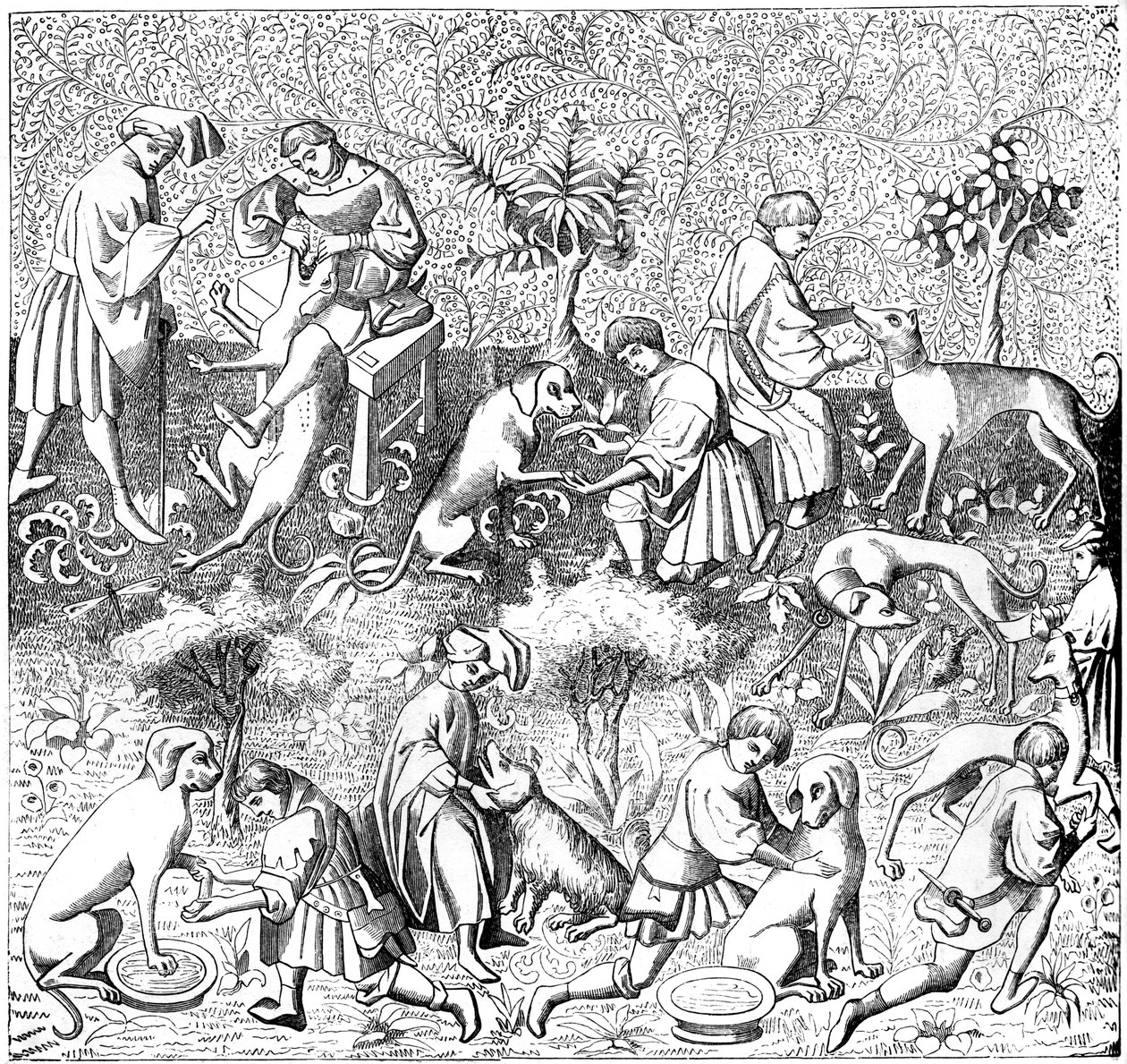 Doenças de cães e suas curas, século XIV 1849 de Unbekannt