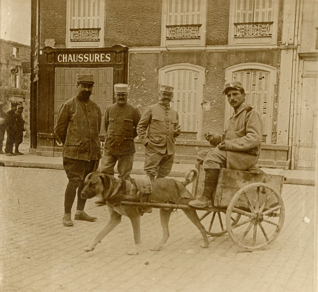 Carrinho de cachorro, França, c1914-c1918 de Unbekannt