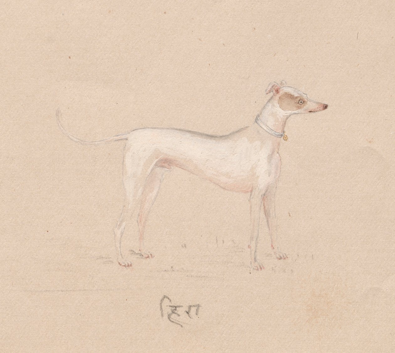 Cão, de 1800. de Unbekannt