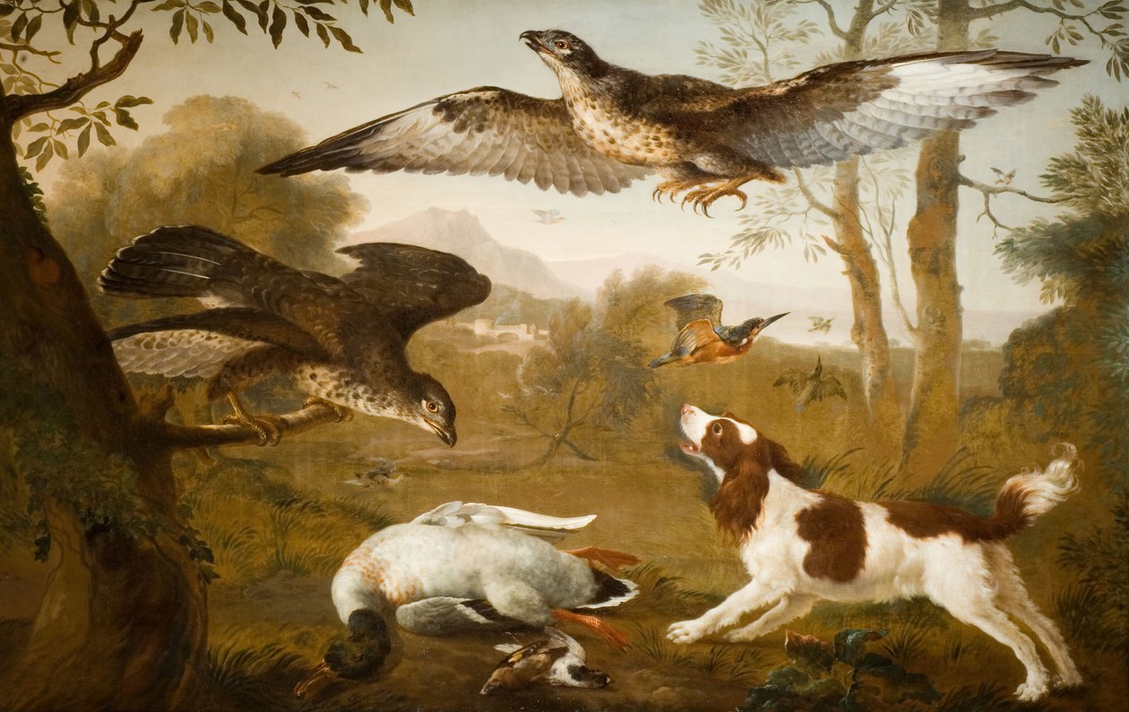 Cão guardando um pato morto de aves de rapina, 1700-1800. de Unbekannt