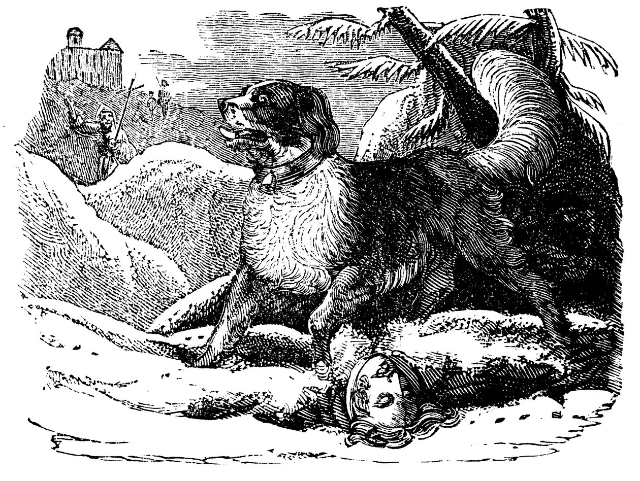 Cão do hospício de St Bernard encontrar um viajante na neve, c1840 de Unbekannt