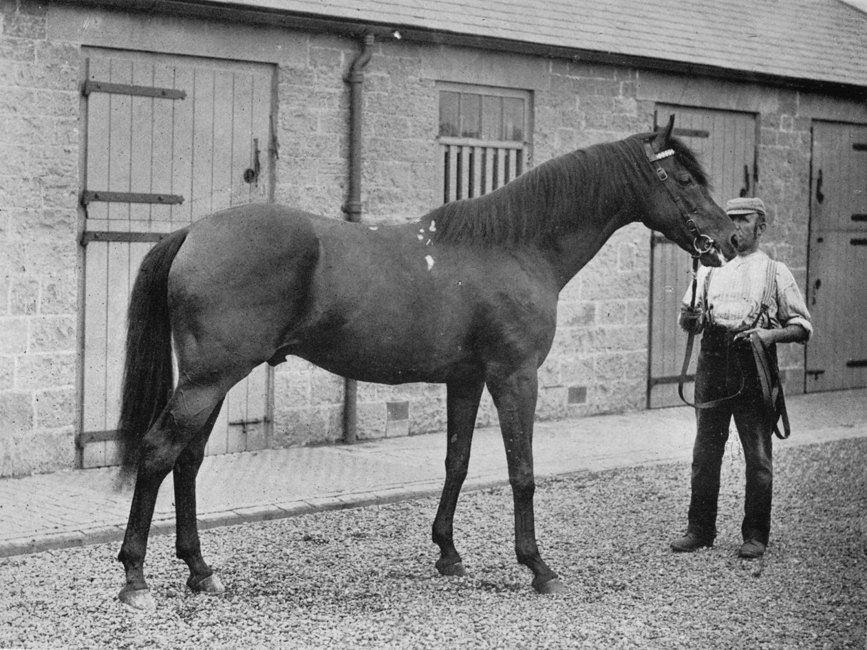 Donovan, 1886-1905, 1911 de Unbekannt