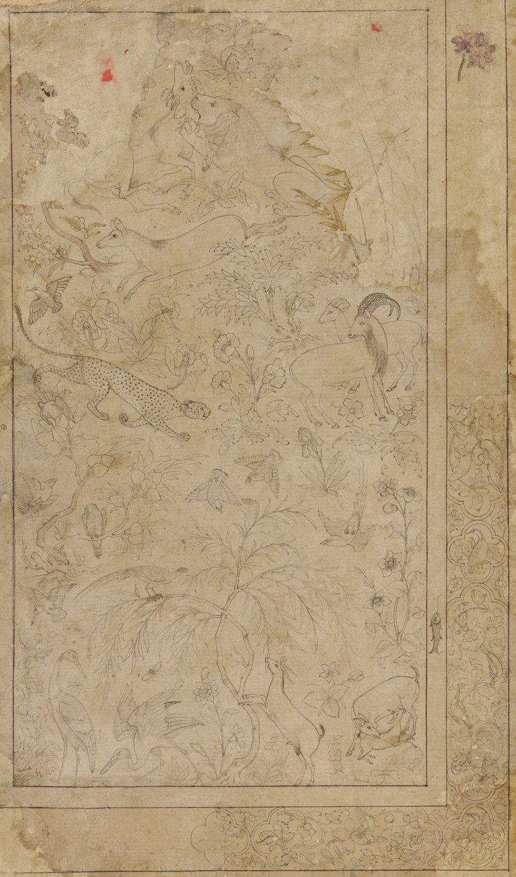 Desenho de animais e plantas, início do século XVII. de Unbekannt
