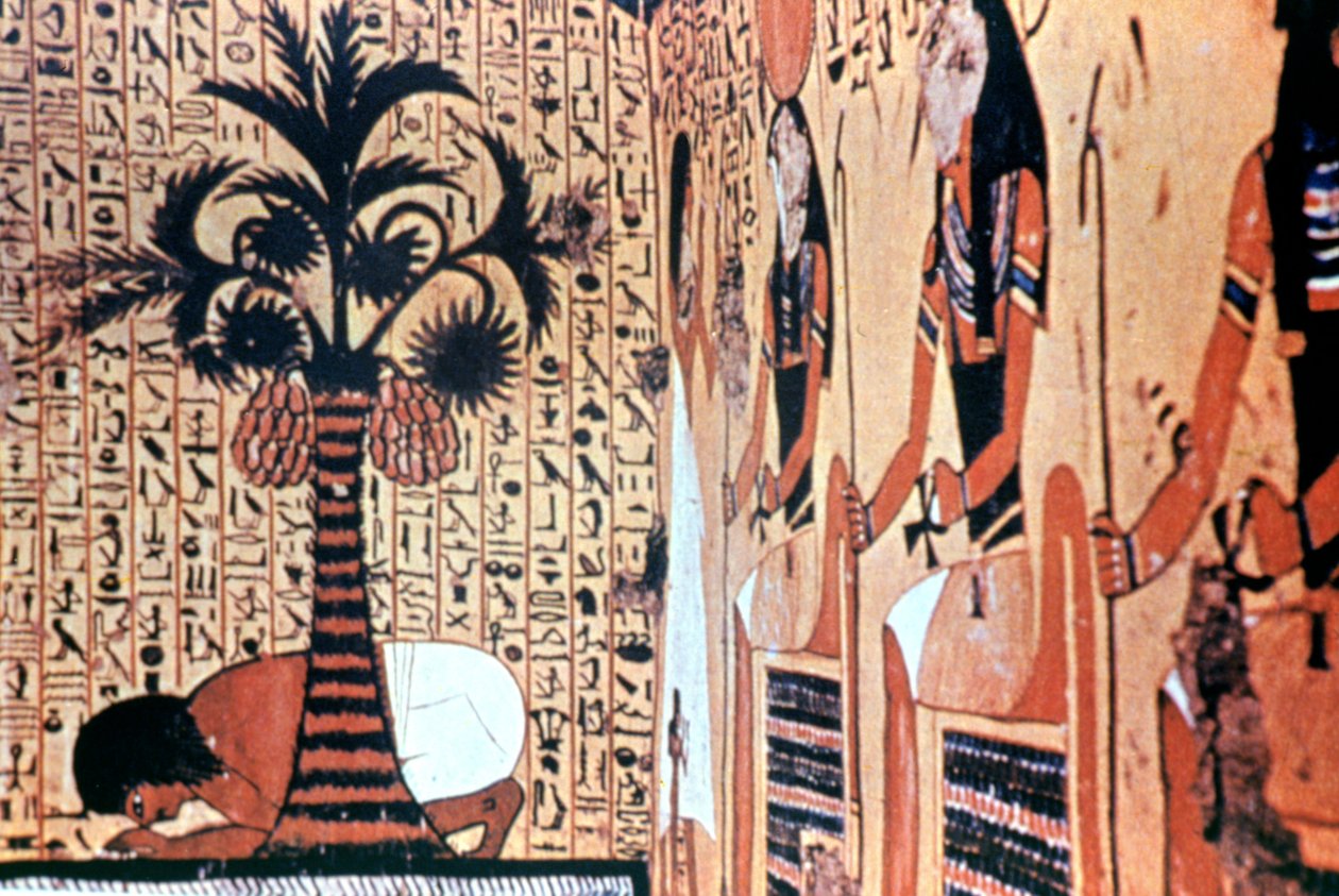 Bebendo do rio, pintura de parede do templo, Tebas, Egito de Unbekannt