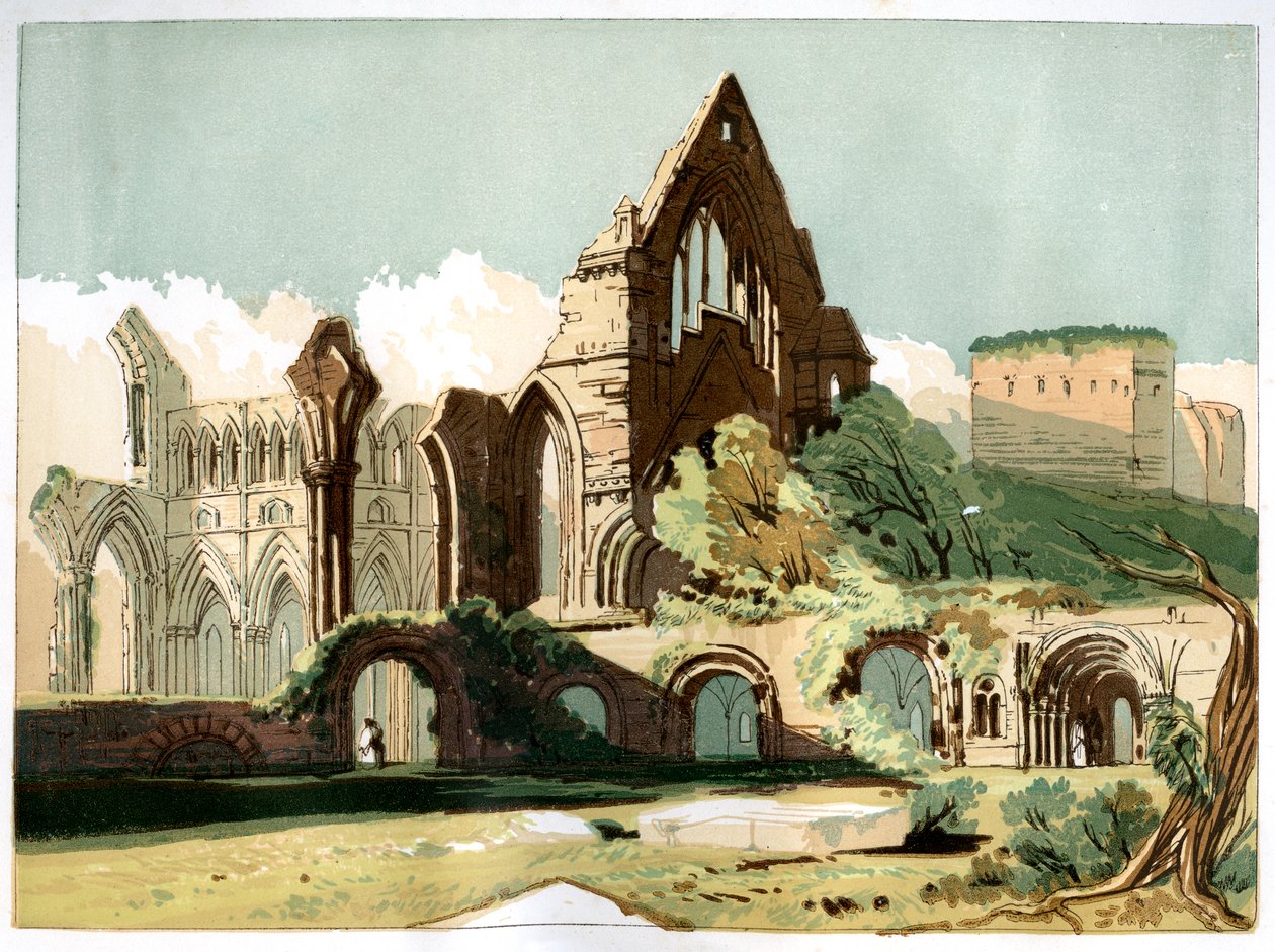 Abadia de Dryburgh, c1850 de Unbekannt