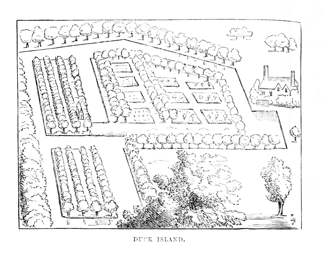 Duck Island, c1870 de Unbekannt