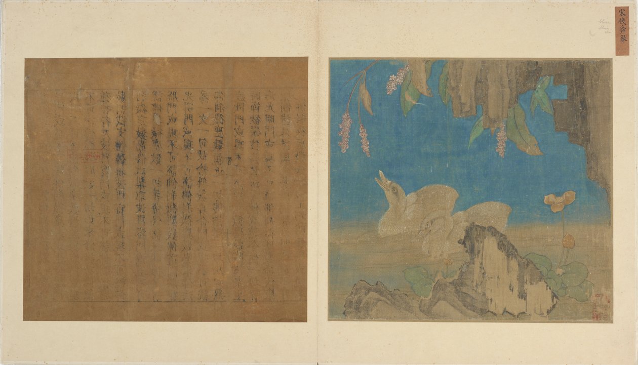 Patinhos, pedras e flores, dinastia Ming, 1368-1644. de Unbekannt