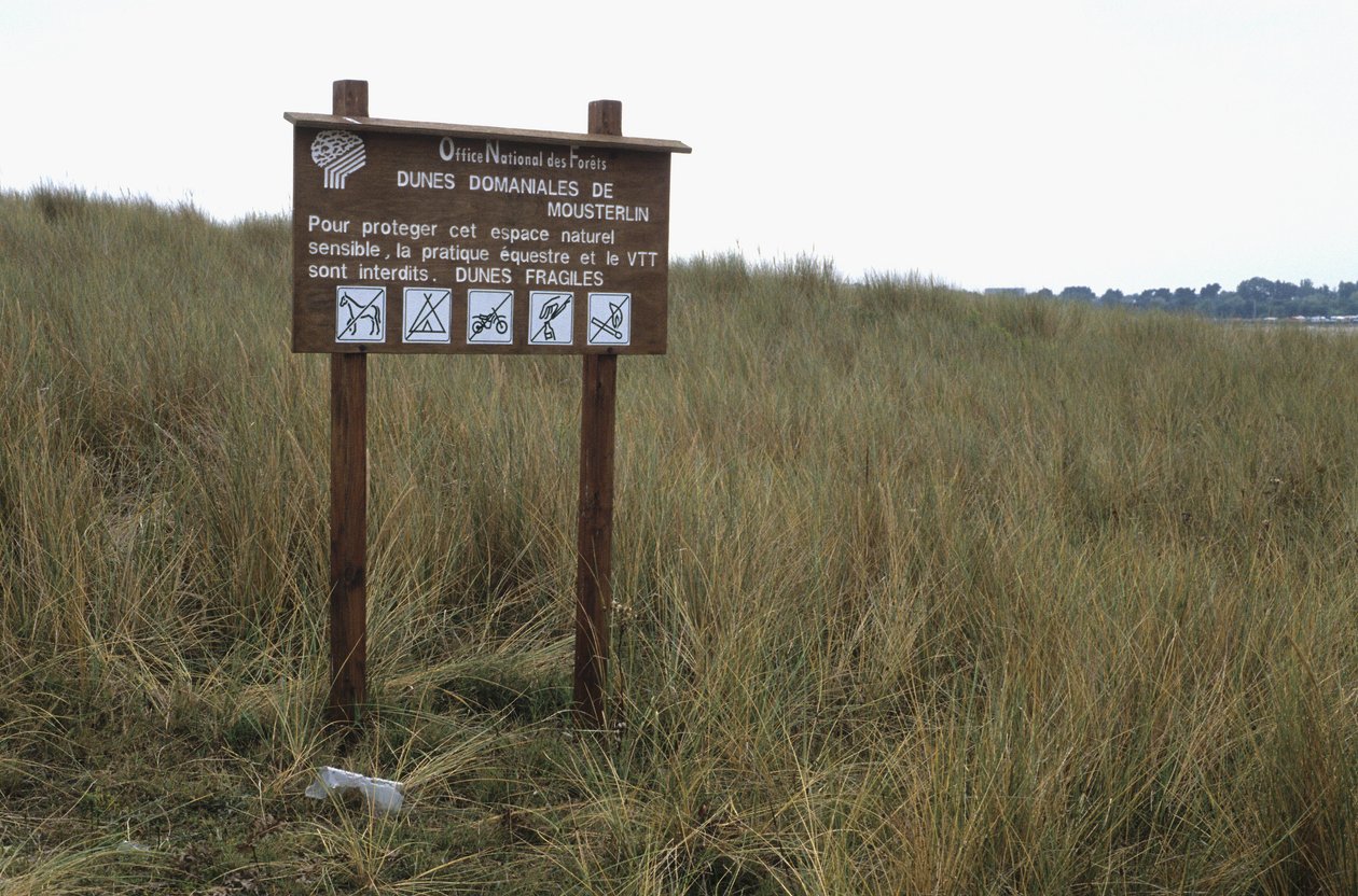 Painel de protecção de dunas de Unbekannt