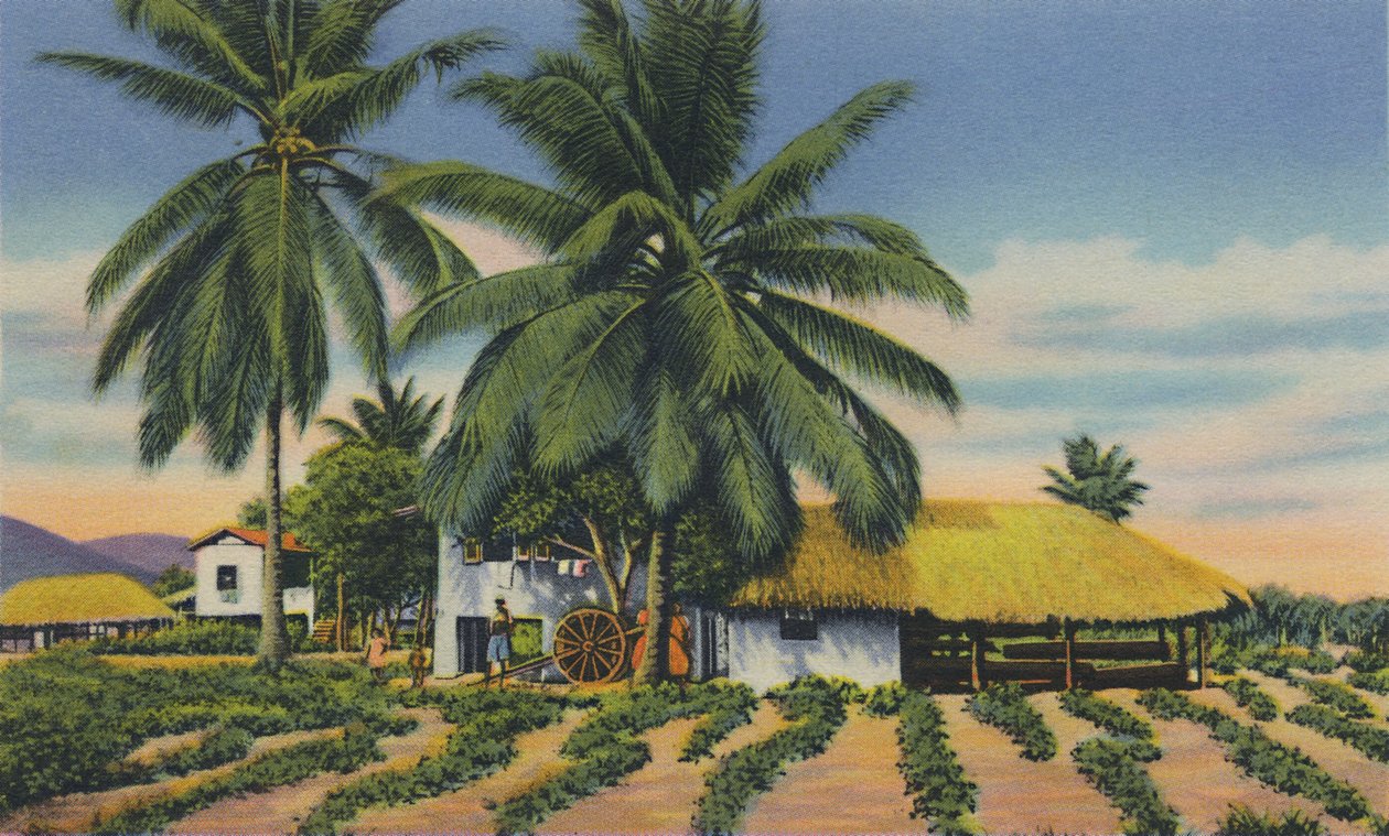 Cabanas das Índias Orientais, Trinidad, BWI, c1940s. de Unbekannt