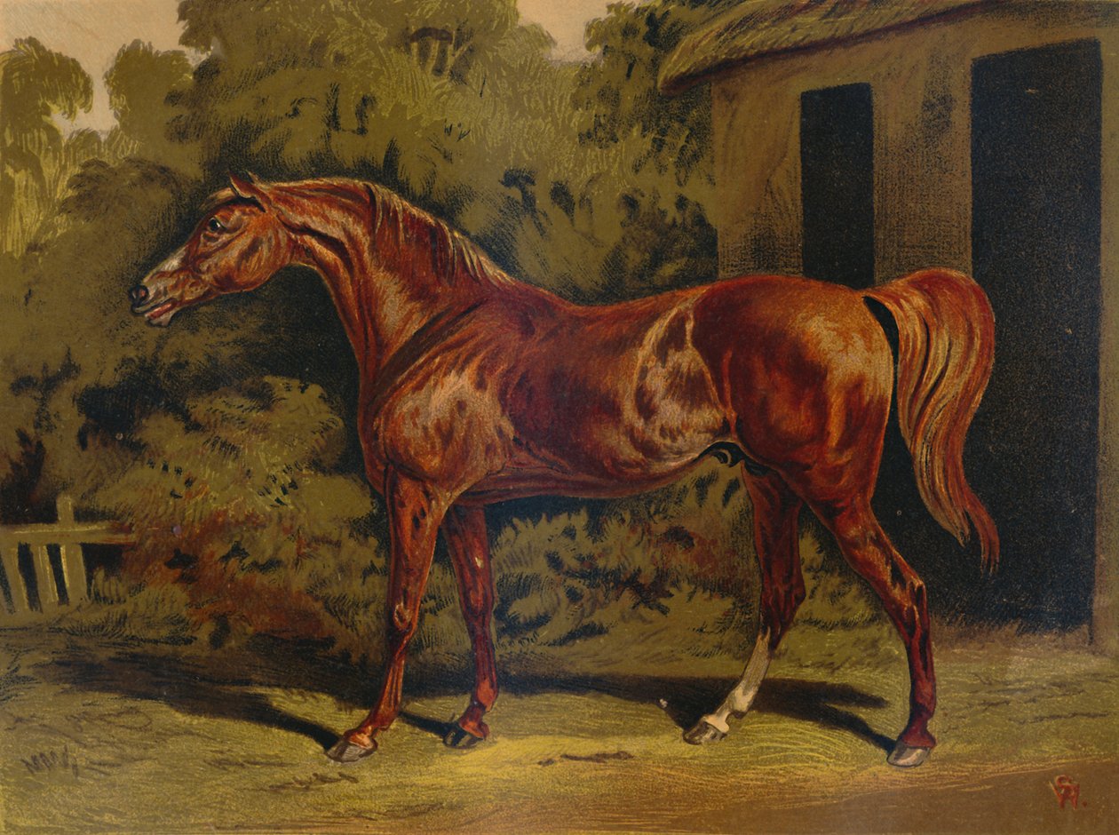Eclipse, c1879. de Unbekannt
