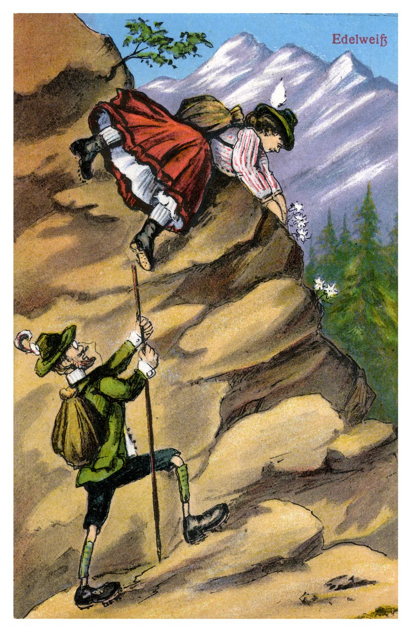 Edelweiss, final do século XIX ou início do século XX de Unbekannt