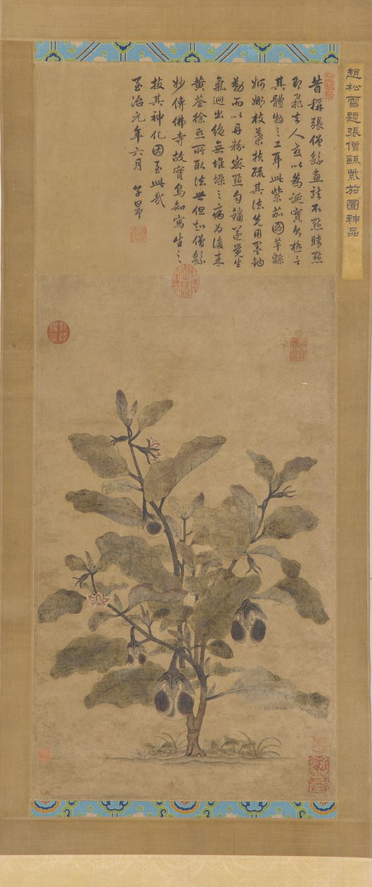 Berinjela, dinastia Ming, 1368-1644. de Unbekannt
