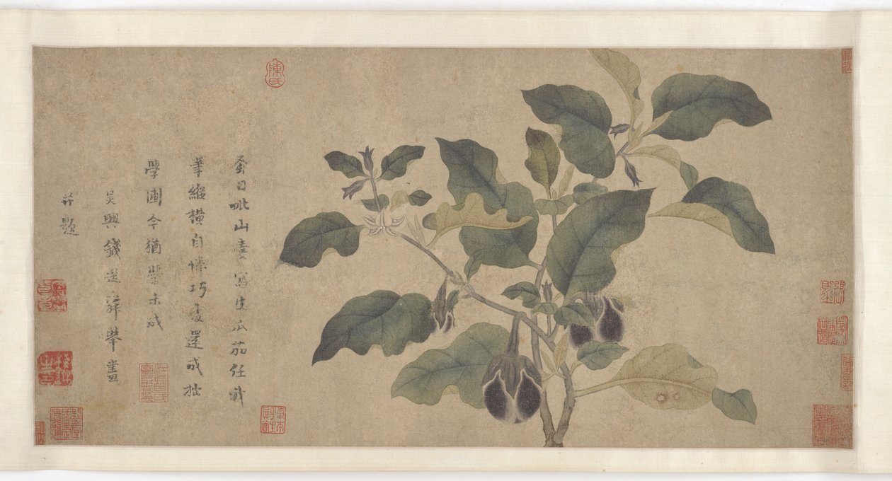 Berinjela, dinastia Yuan ou Ming, século XIV. de Unbekannt