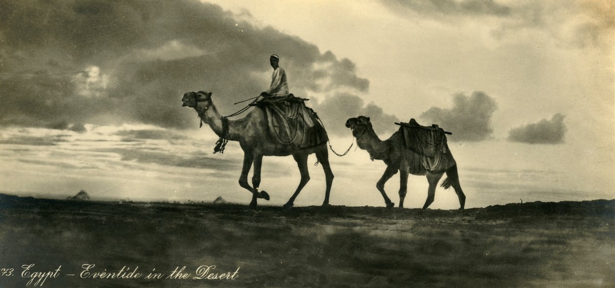 Egito - Eventide no deserto, c1918-c1939. de Unbekannt