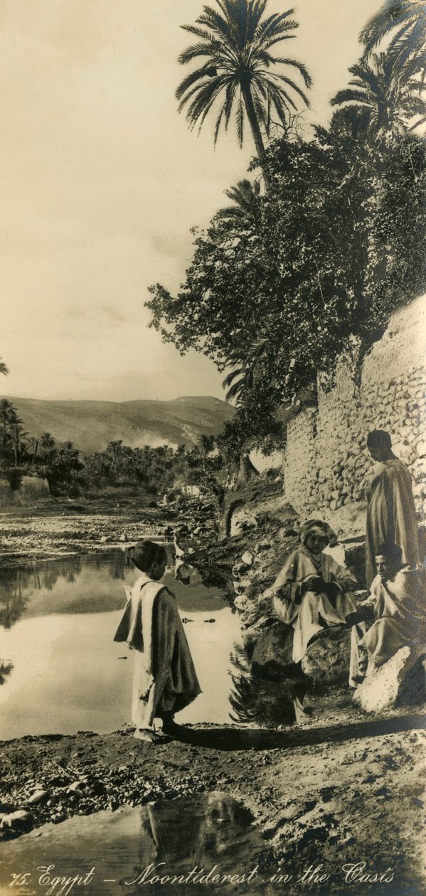 Egito - Noontiderest no Oásis, c1918-c1939. de Unbekannt