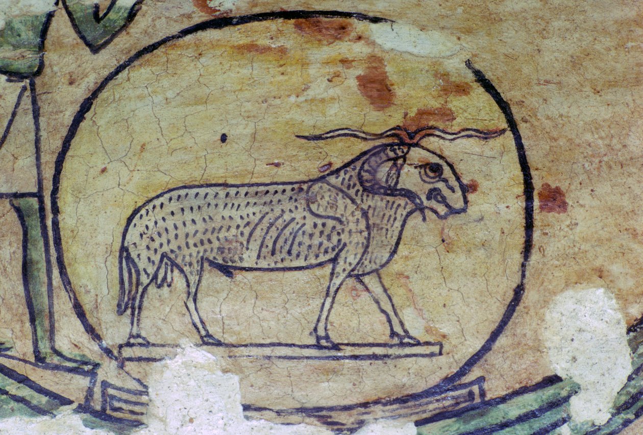 Pintura egípcia de Amon como um carneiro de Unbekannt
