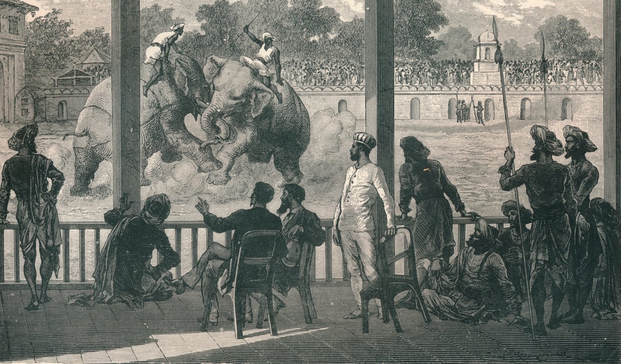 Luta de elefantes em Baroda, 1896 de Unbekannt