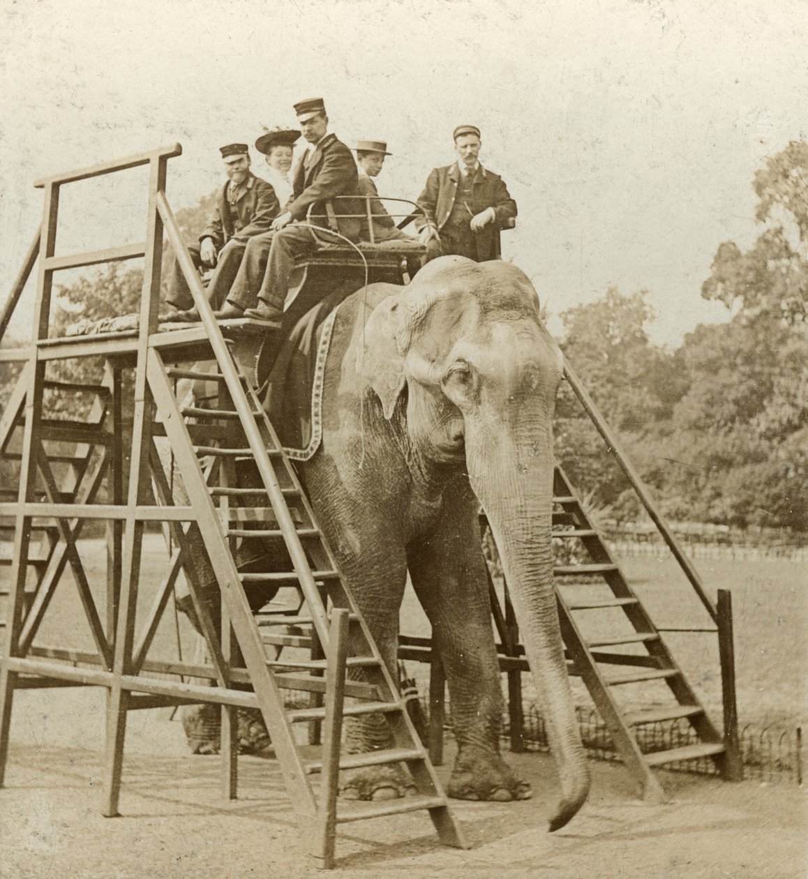 Passeio de elefante de Unbekannt