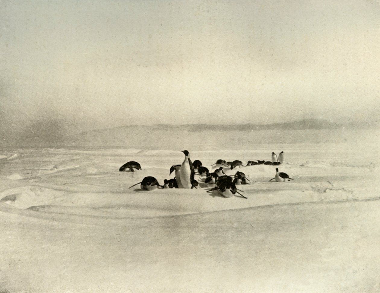 Imperadores Tobogã, c1908, 1909 de Unbekannt