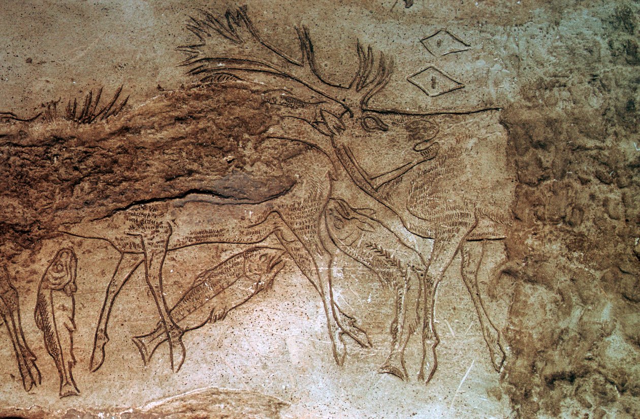 Osso gravado de Lortet, Hautes Pyrenees de Unbekannt