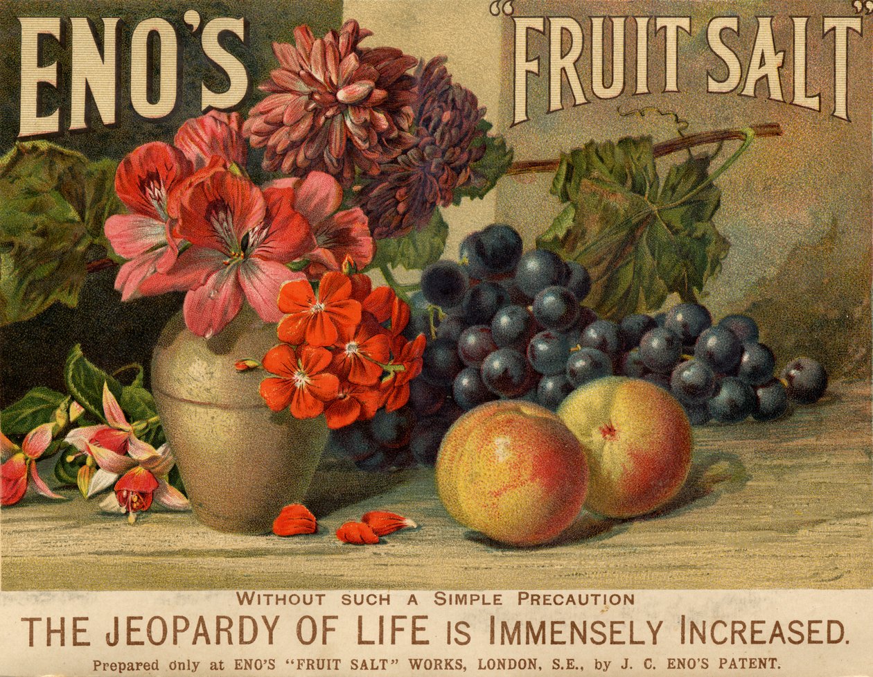 Sal de Frutas de Eno, século XIX de Unbekannt