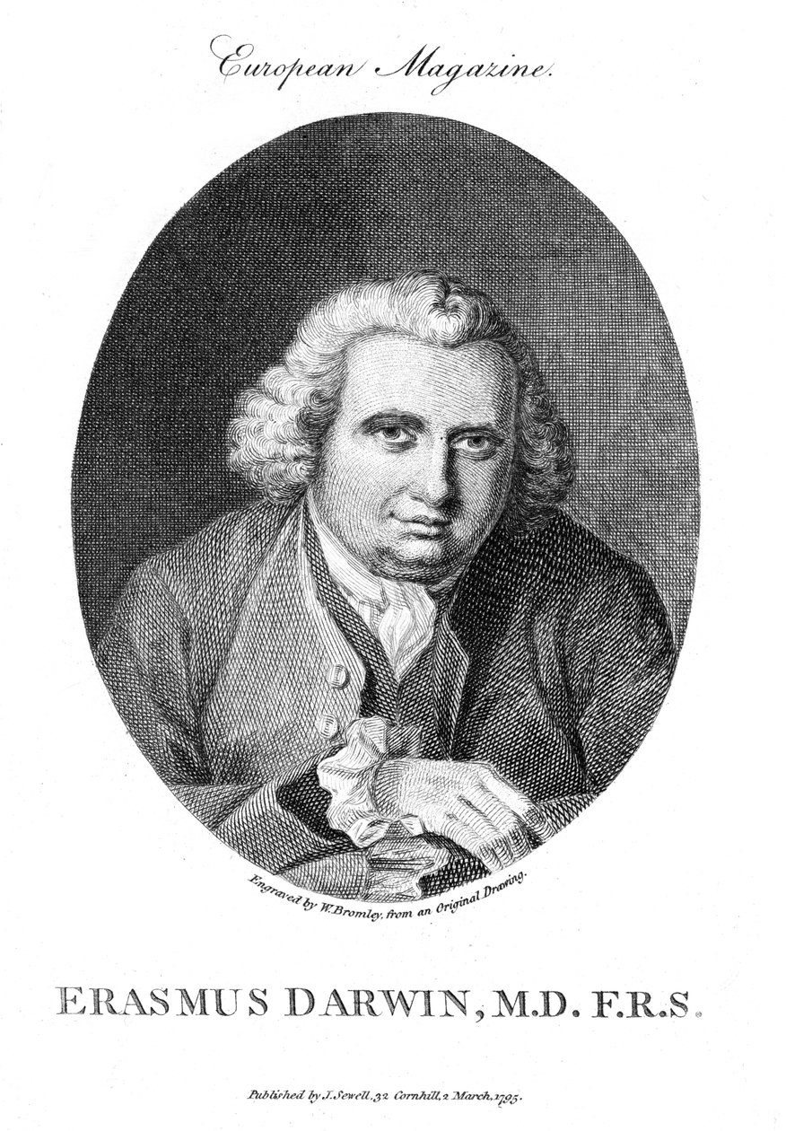 Erasmus Darwin, médico e naturalista inglês, 1795 de Unbekannt