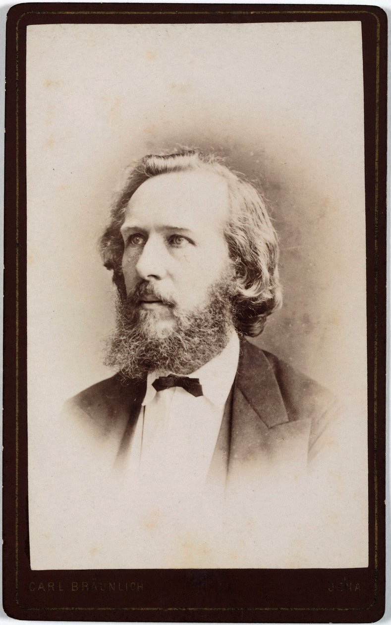 Ernst Haeckel, naturalista alemão, c 1860s de Unbekannt