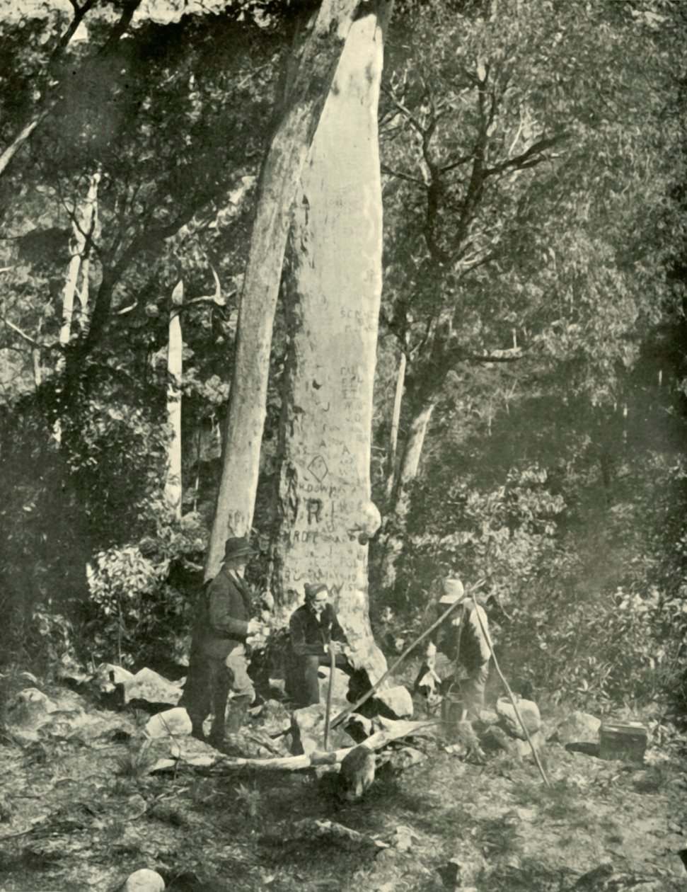 Eurobin Falls, montanhas de búfalo, 1901. de Unbekannt