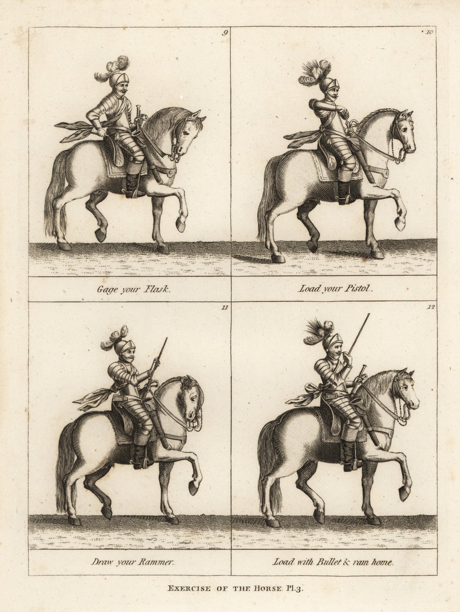 Exercício do cavalo de Unbekannt