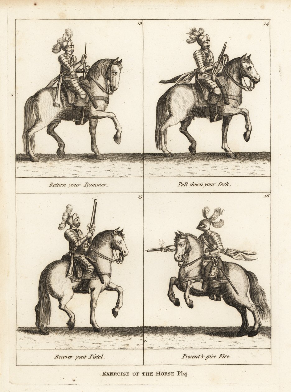 Exercício do cavalo de Unbekannt