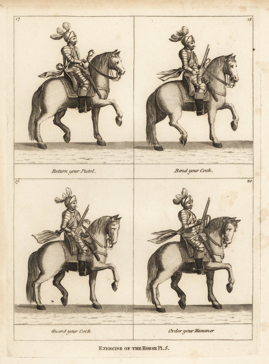 Exercício do cavalo de Unbekannt