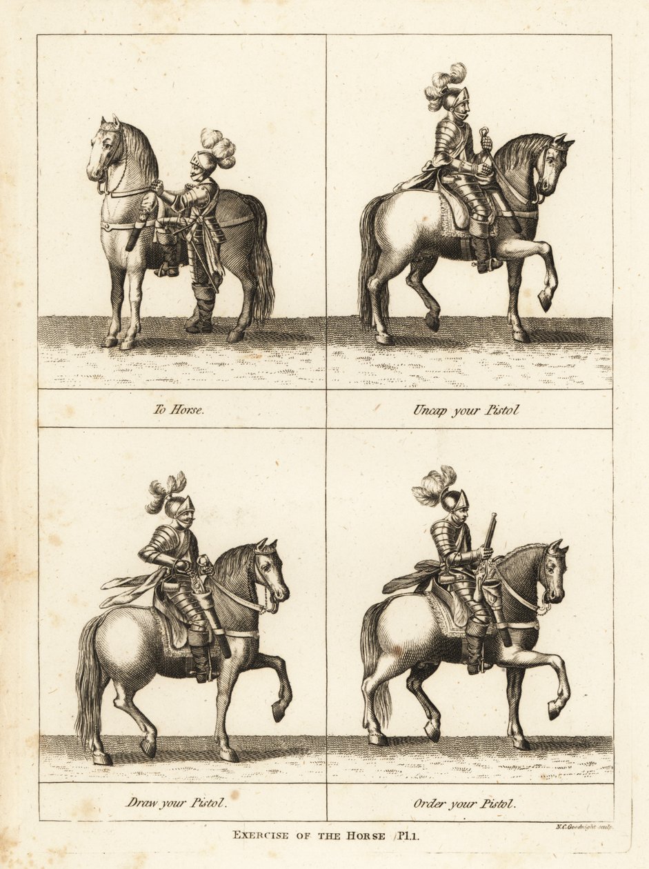 Exercício do cavalo de Unbekannt