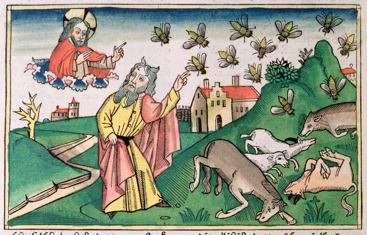 Êxodo 8:20-32: Moisés e o enxame de moscas, uma das sete pragas do Egito de Unbekannt