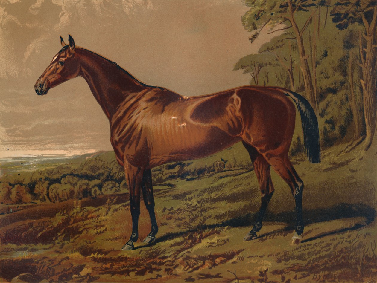 Fair Nell, c1879. de Unbekannt