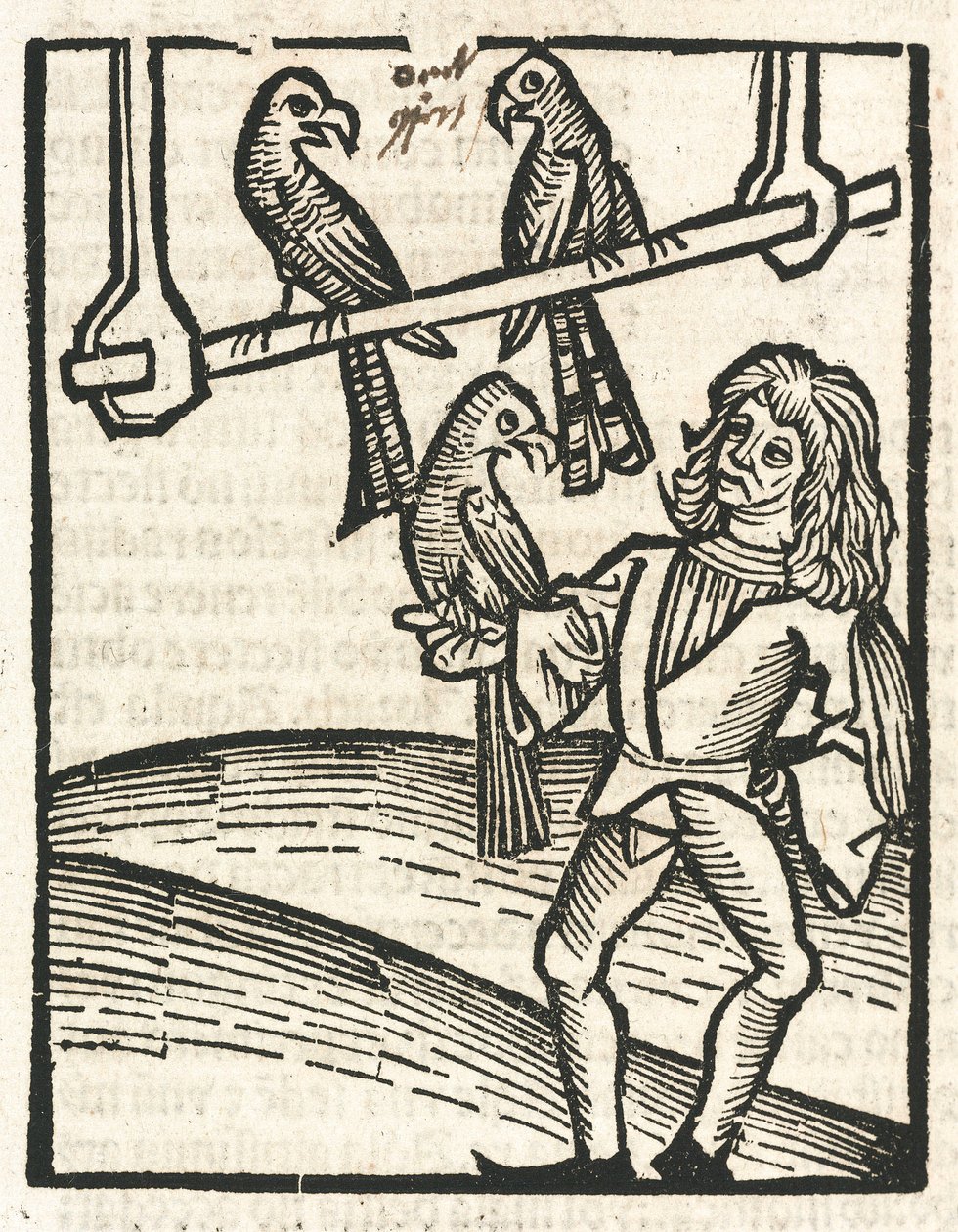 Falconer com goshawks de Unbekannt