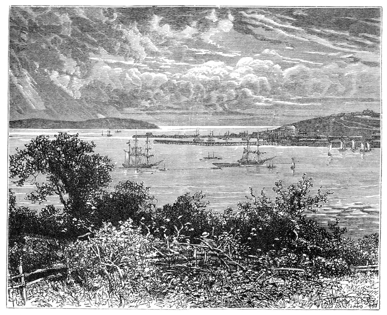 Porto de Falmouth, Cornualha, Inglaterra, 1900 de Unbekannt