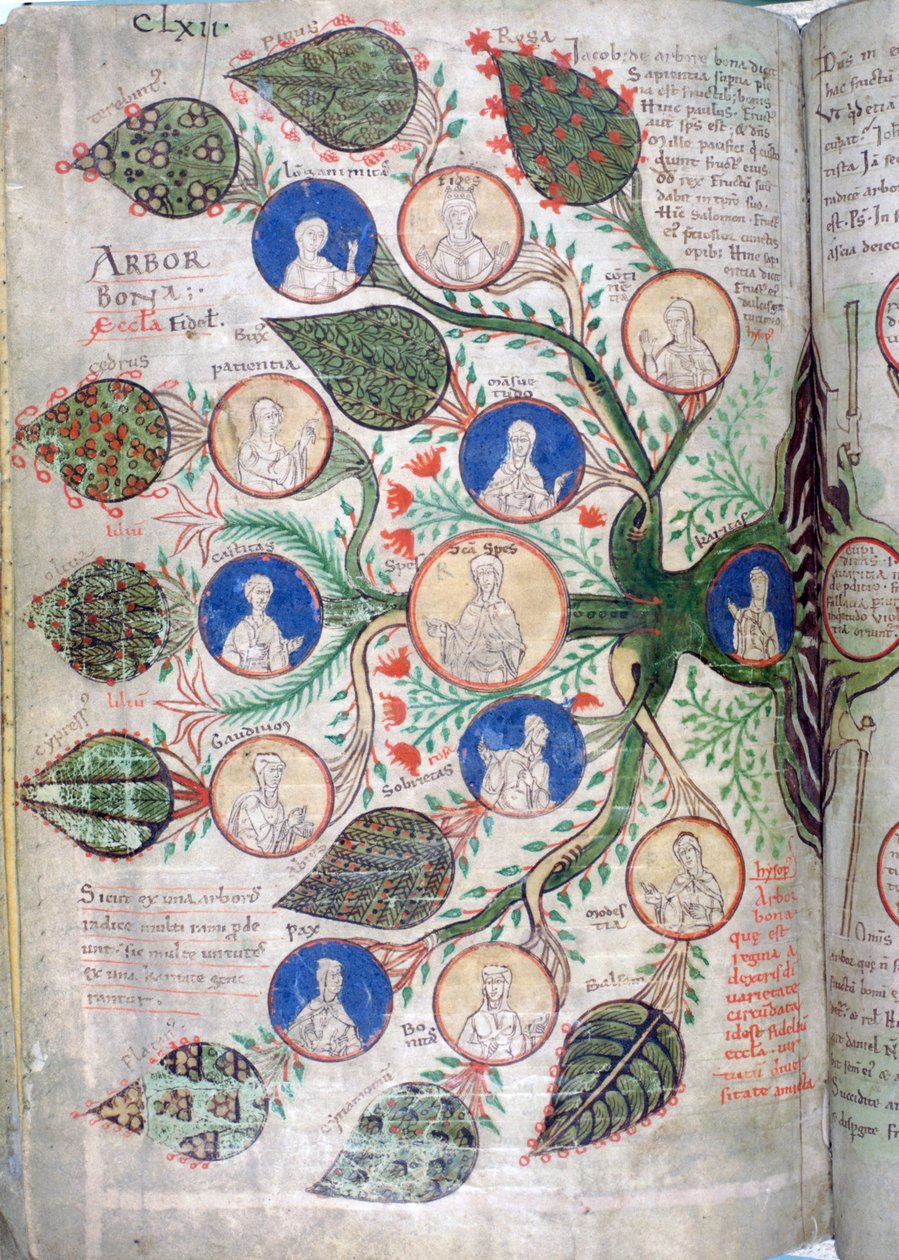 Árvore genealógica, uma página de Liber Floridus, século XII de Unbekannt