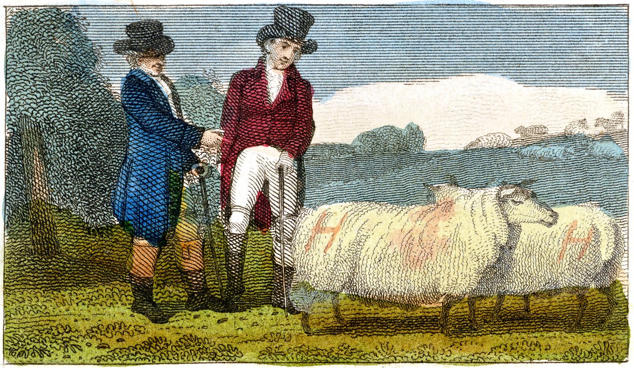 Agricultores discutindo ovelhas Dishley New Leicester, 1822 de Unbekannt